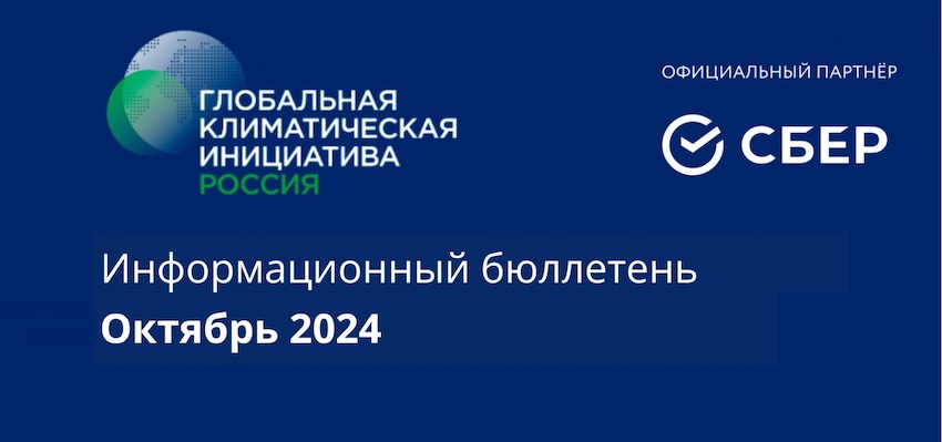 Информационный бюллетень • Октябрь 2024