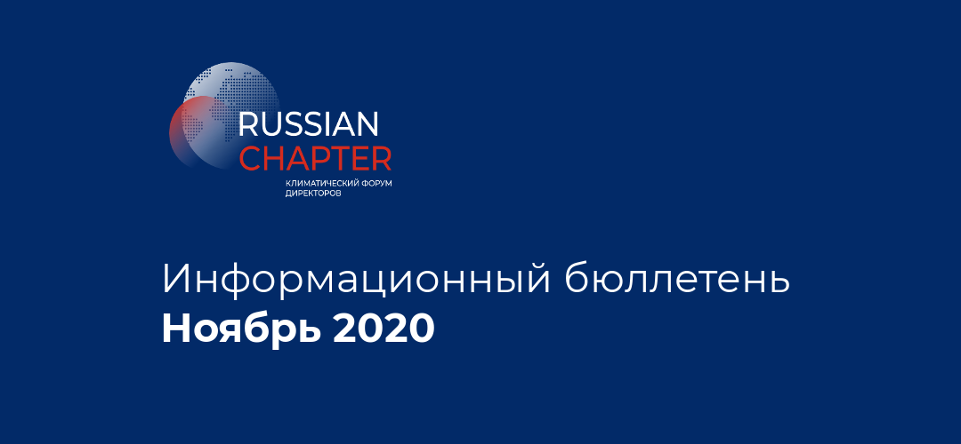Информационный бюллетень • Ноябрь 2020