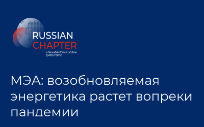 МЭА: возобновляемая энергетика растет вопреки пандемии